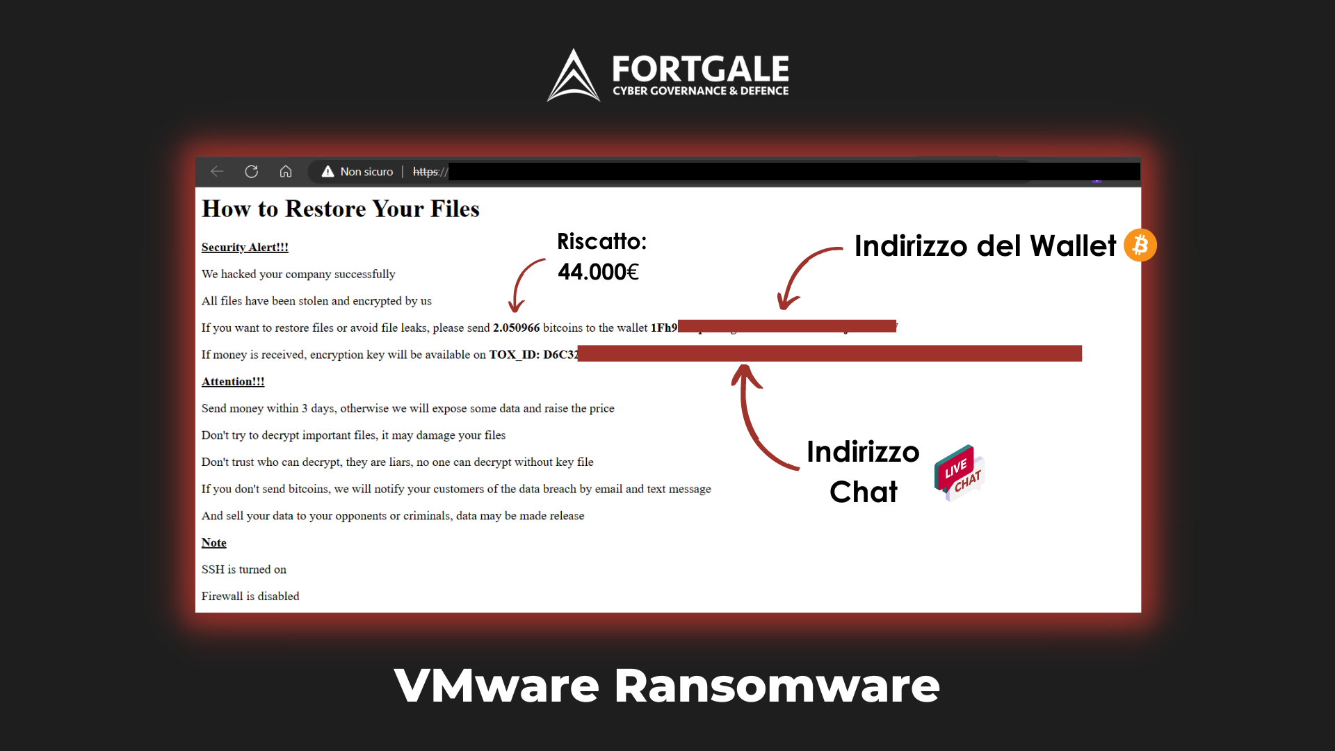Server VMware ESXi – Attacchi Ransomware italia